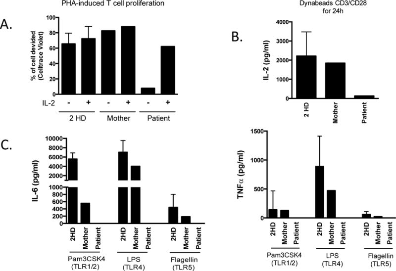 Figure 1B