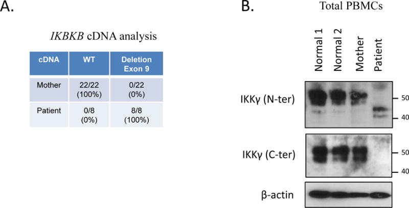 Figure 1A