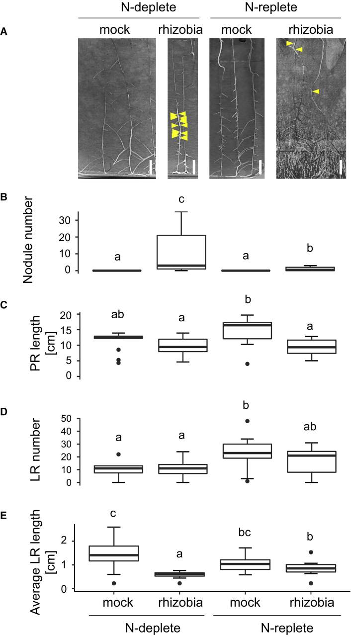 Figure 5