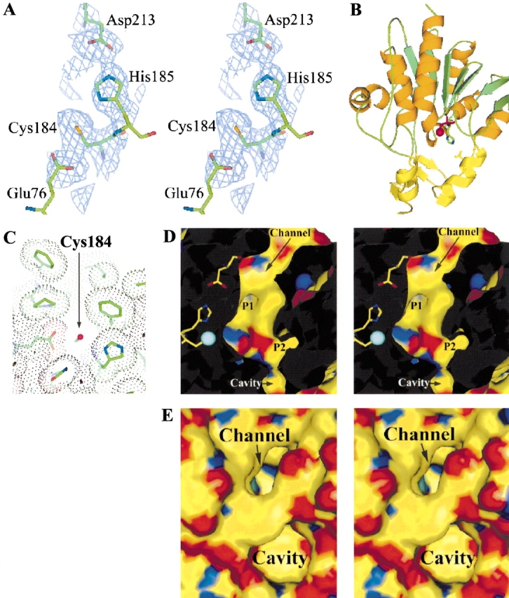 Figure 3.