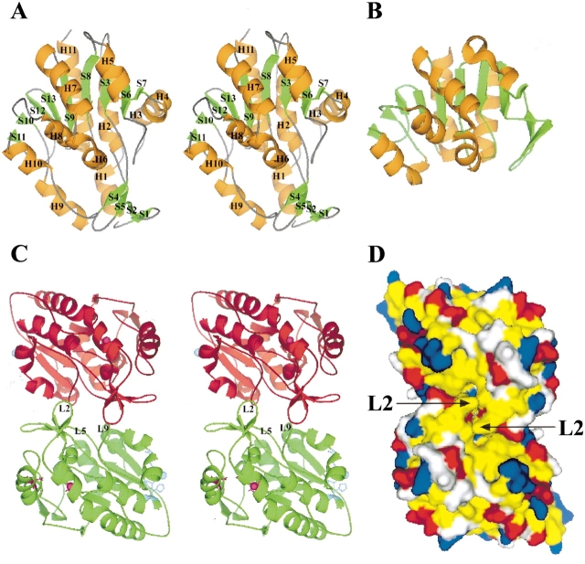 Figure 2.