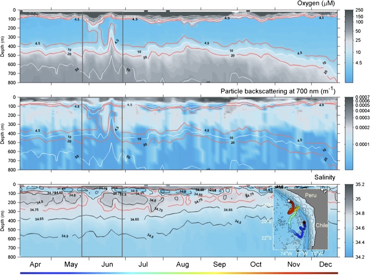 Fig. 2.