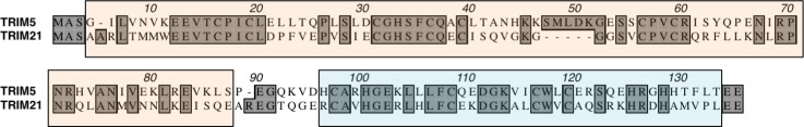 Figure 1—figure supplement 2.