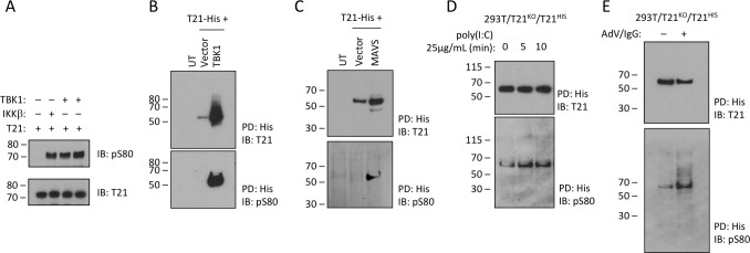 Figure 6.