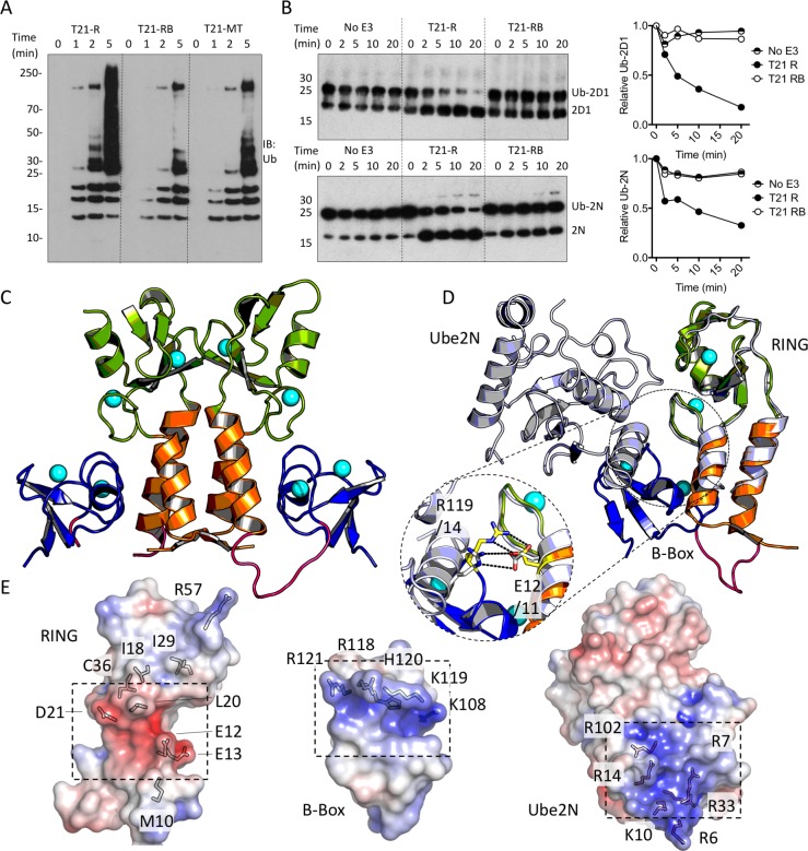 Figure 3.