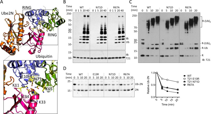 Figure 2.