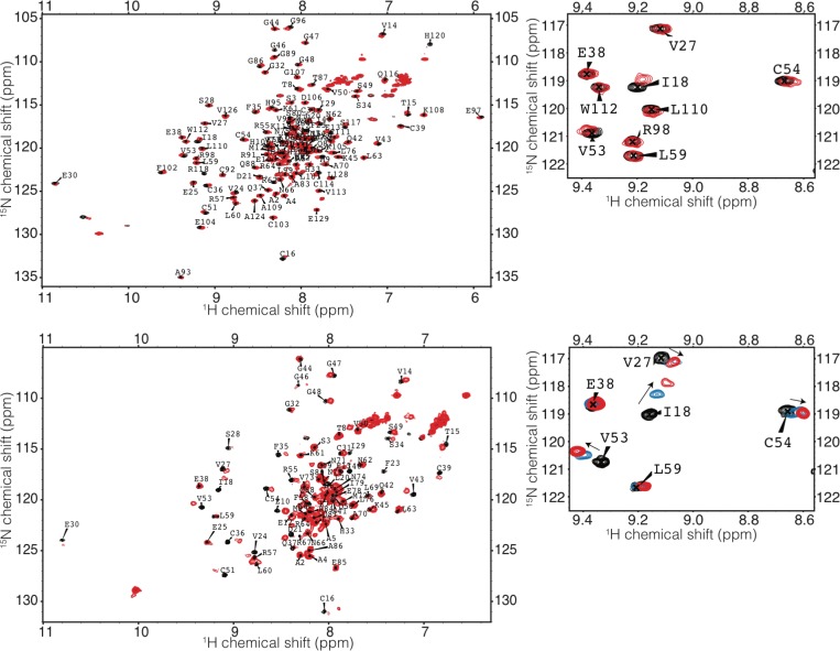 Figure 4—figure supplement 1.