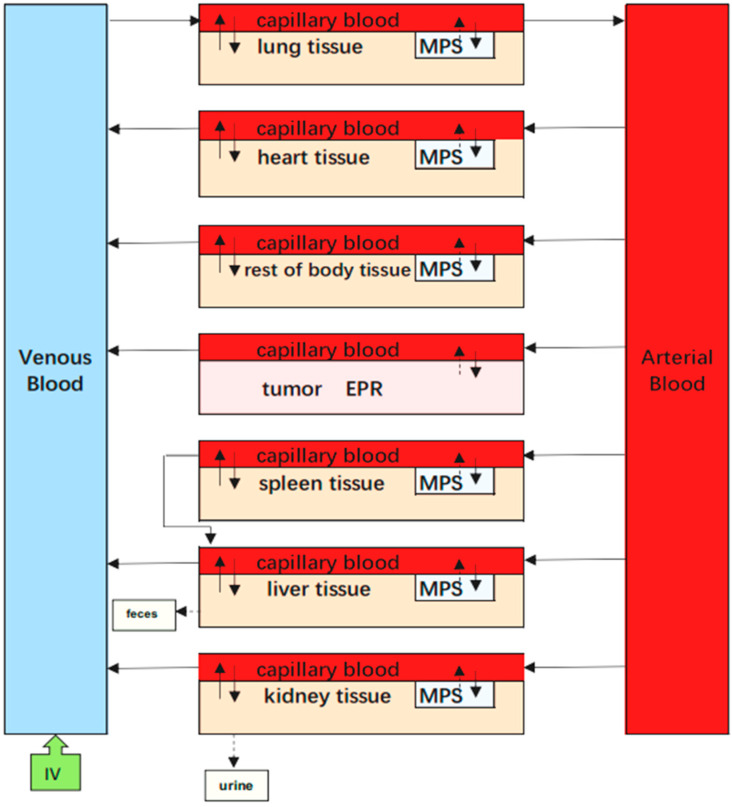 Figure 19