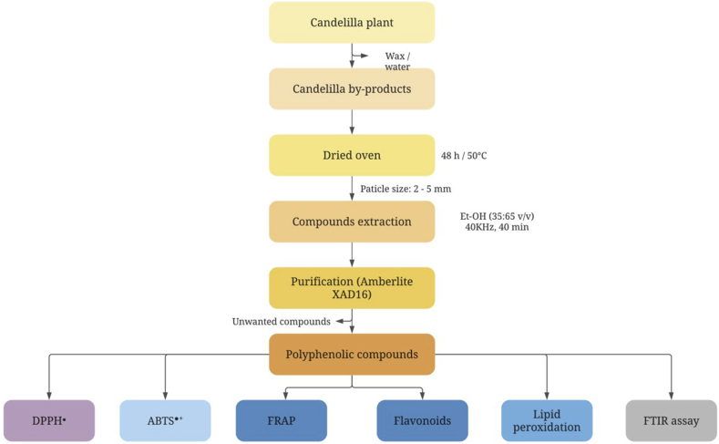 Figure 1