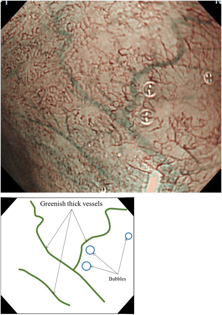 Fig. 7