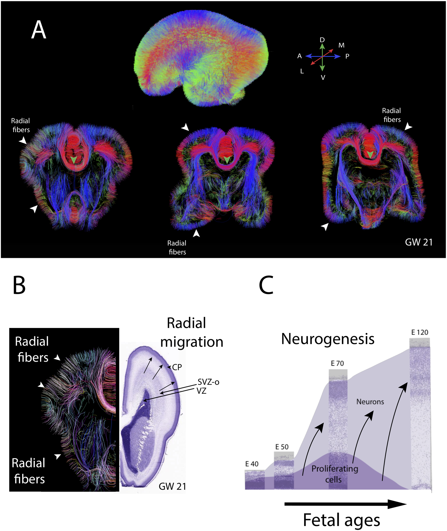 Figure 3.