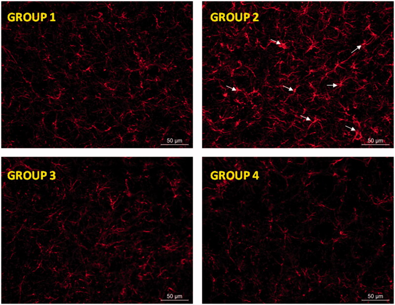 Figure 5.
