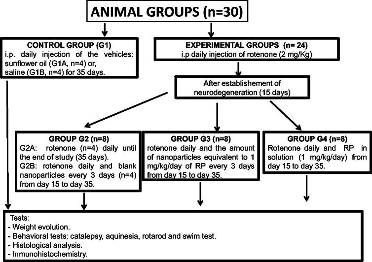 Scheme 1.