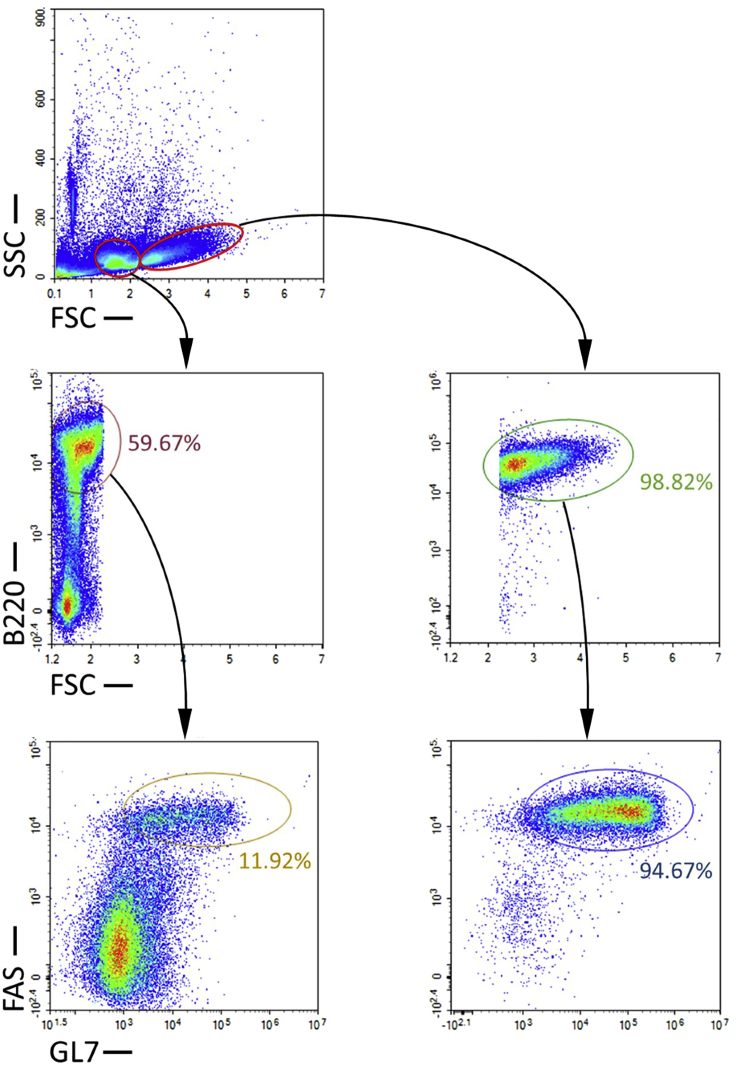 Figure 6