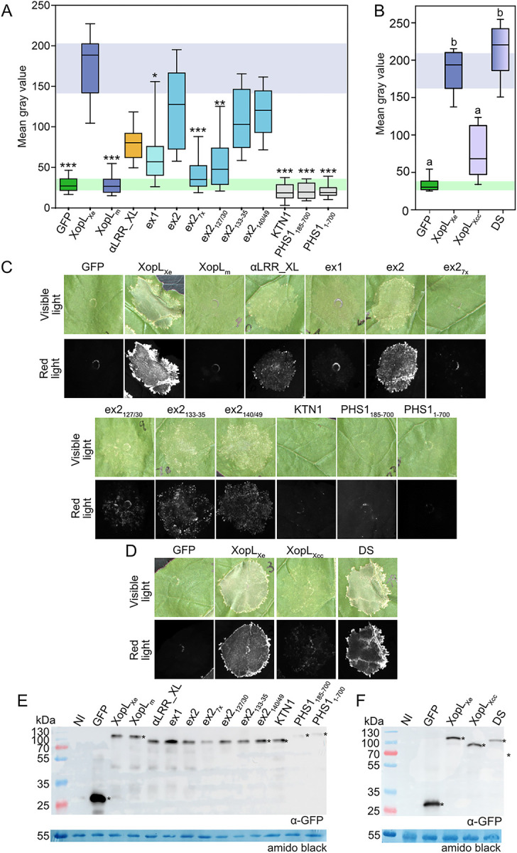 Fig 8