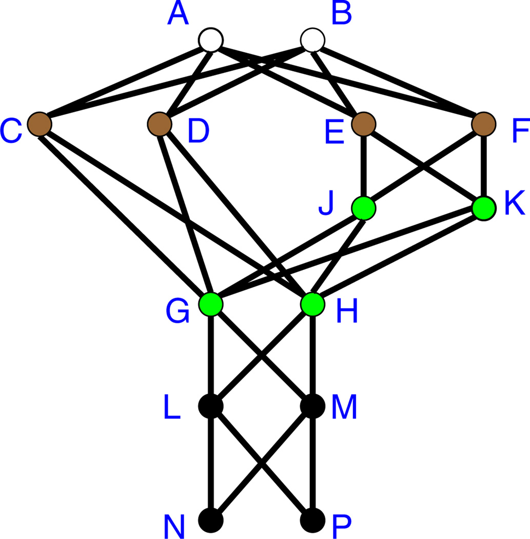 Fig. 5