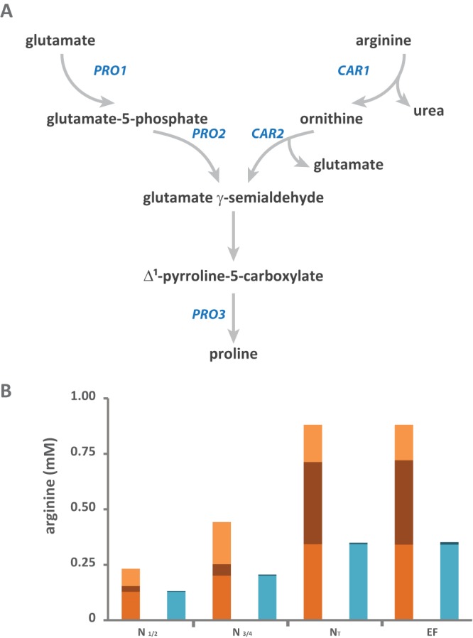 FIG 3