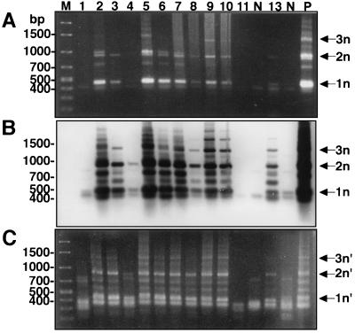 FIG. 3