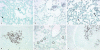 Fig. 5