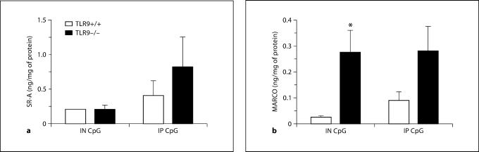 Fig. 12