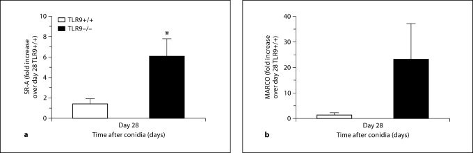 Fig. 10