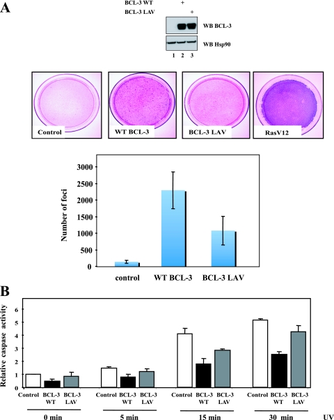 FIG. 10.