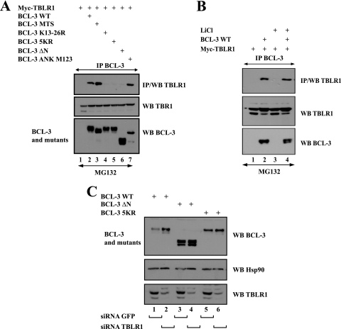 FIG. 8.