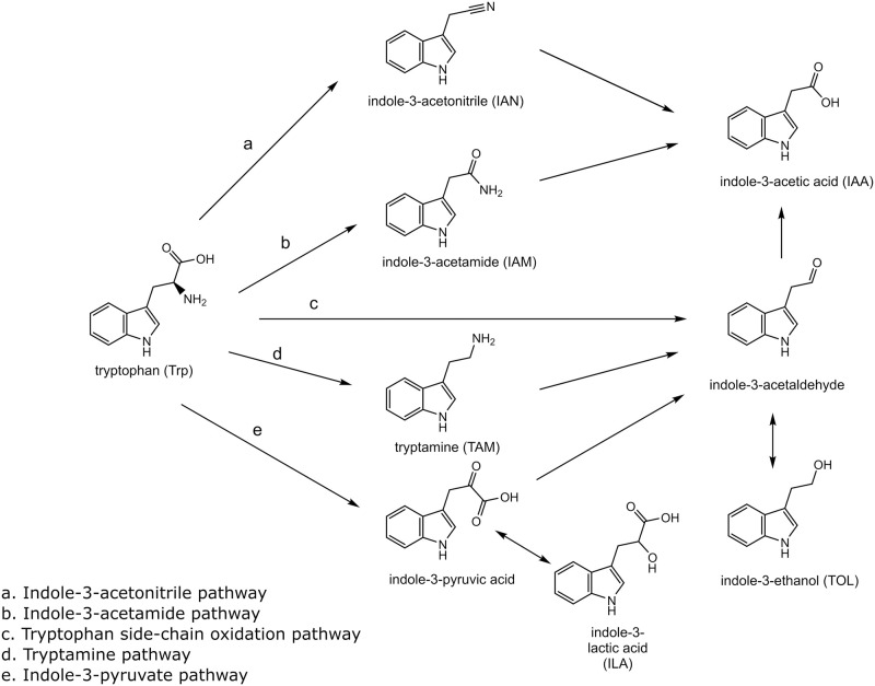 Fig 1