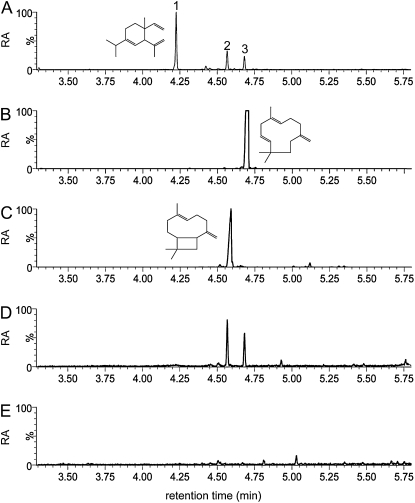 Figure 5.