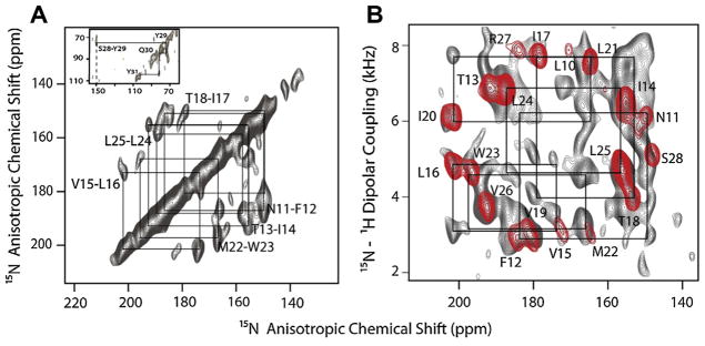 Fig. 20