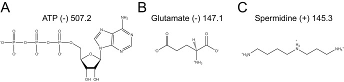 Figure 4—figure supplement 1.