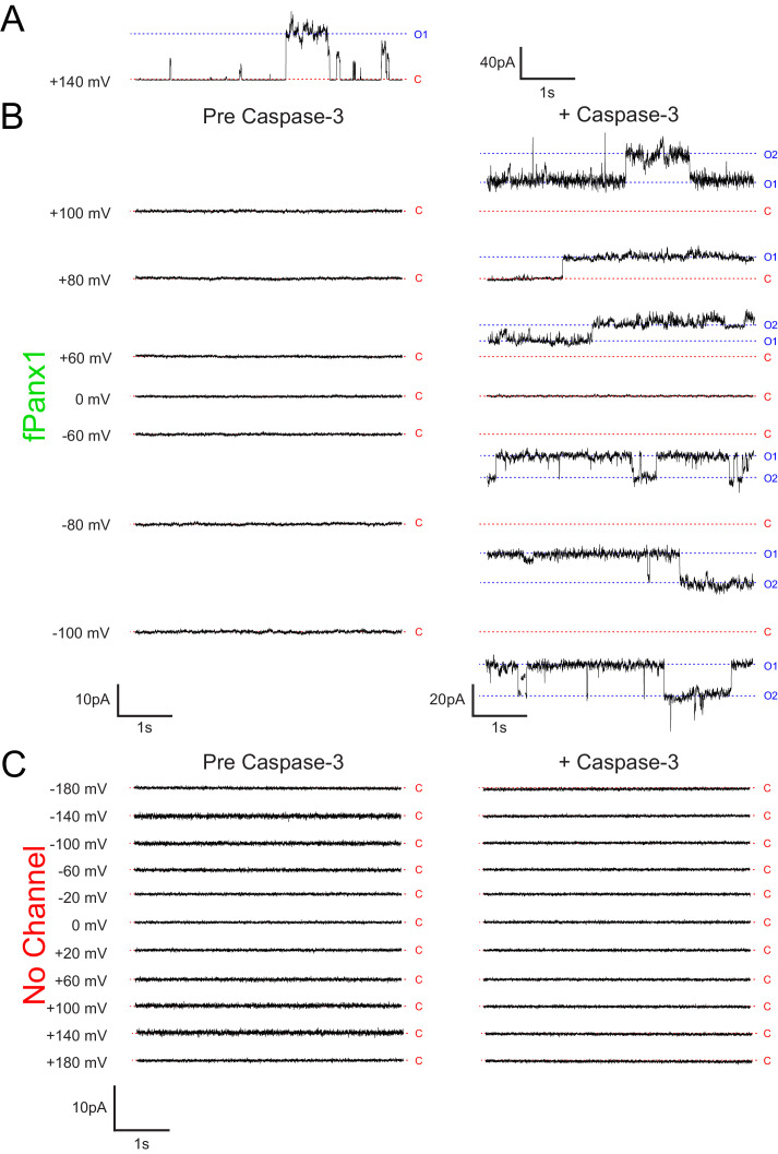 Figure 1—figure supplement 3.