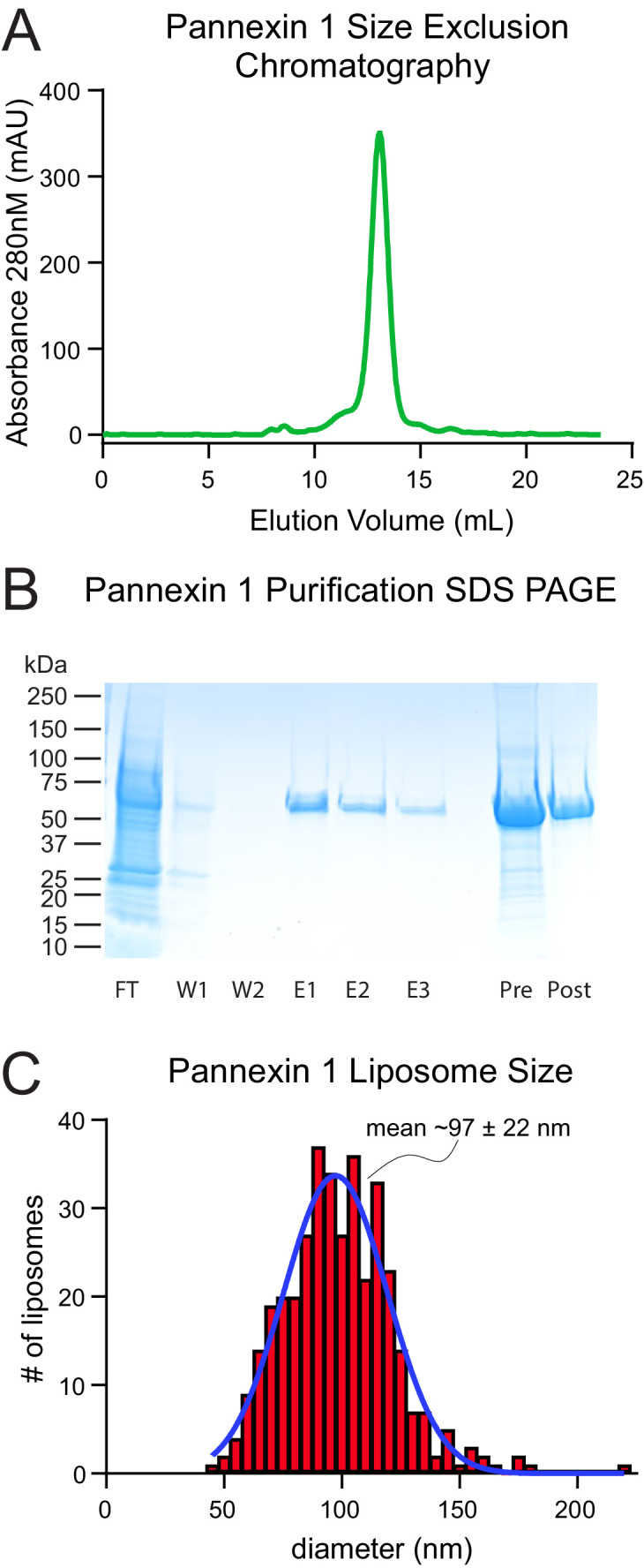 Figure 1—figure supplement 1.