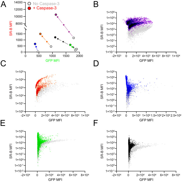 Figure 2—figure supplement 2.