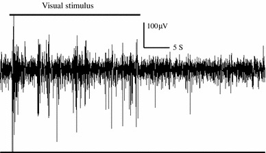 Fig. 5