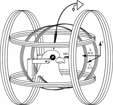 Fig. 1