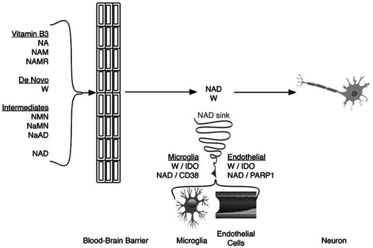 Fig. (3)