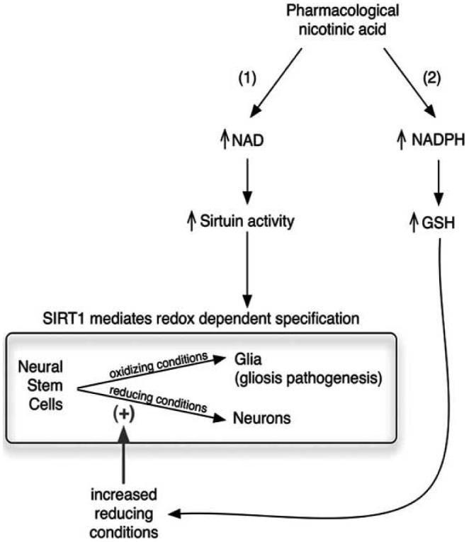 Fig. (7)