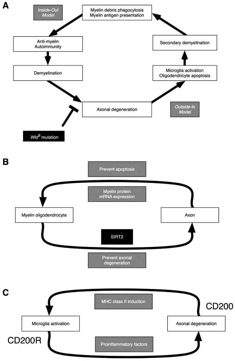 Fig. (8)