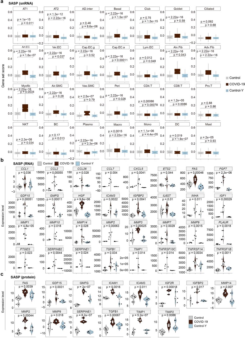 Extended Data Fig. 5