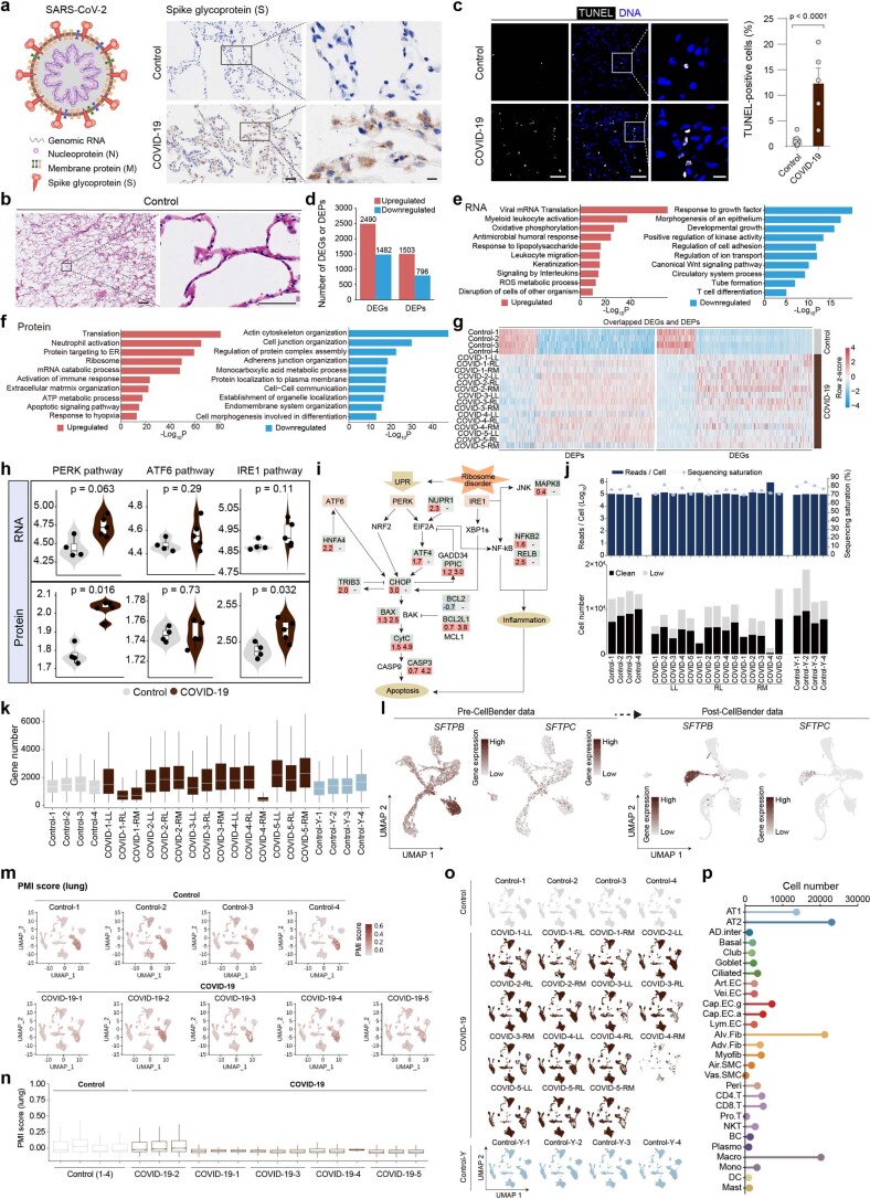 Extended Data Fig. 1