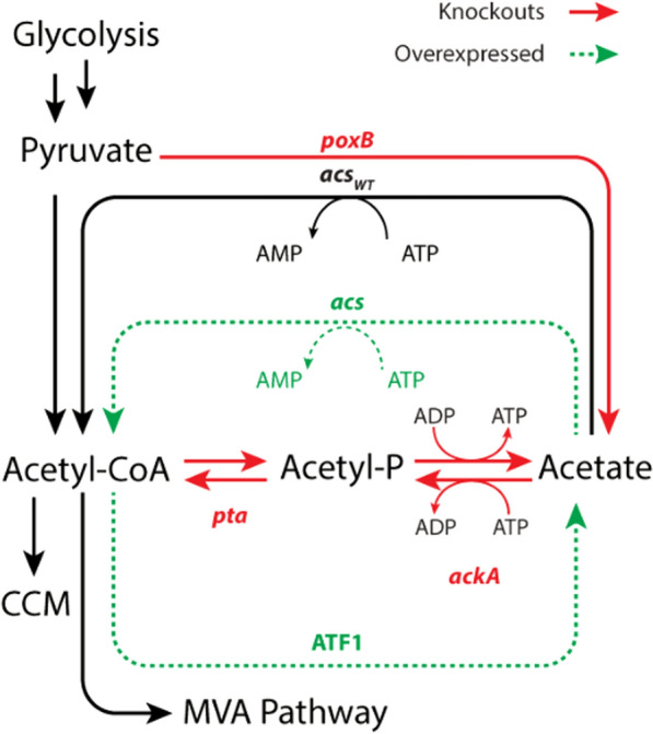 Fig. 7