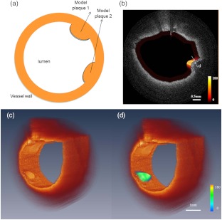 Fig. 2