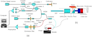 Fig. 1