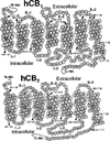 Fig. (1)