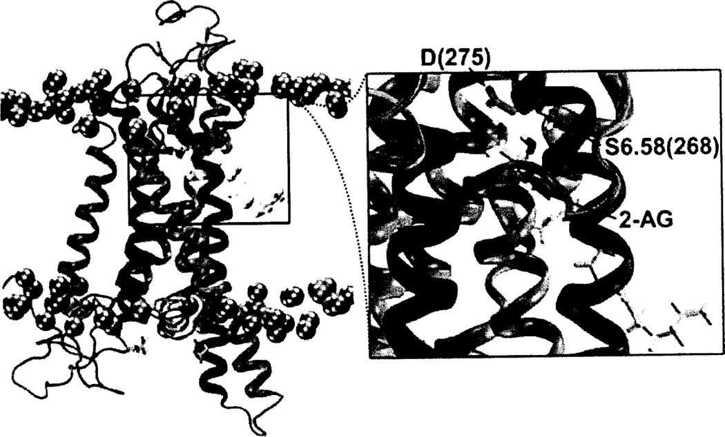 Fig. (4)