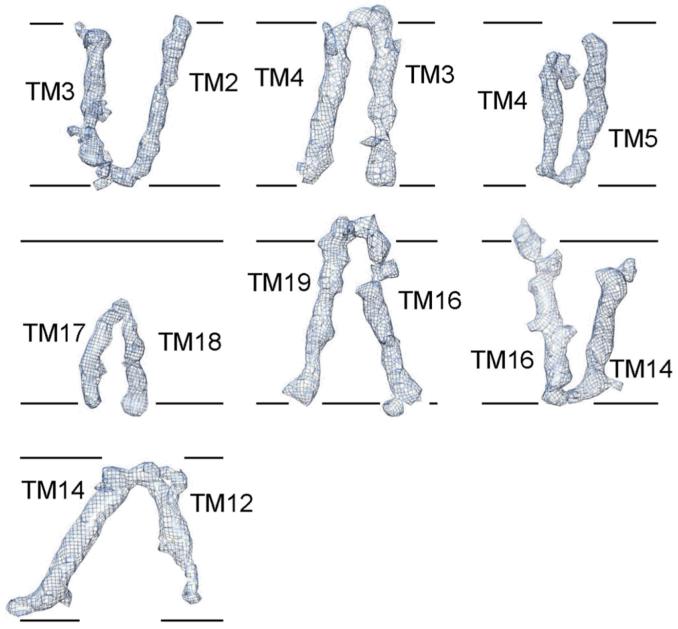 Extended Data Figure 5