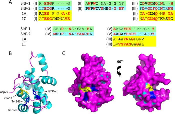 FIG 1