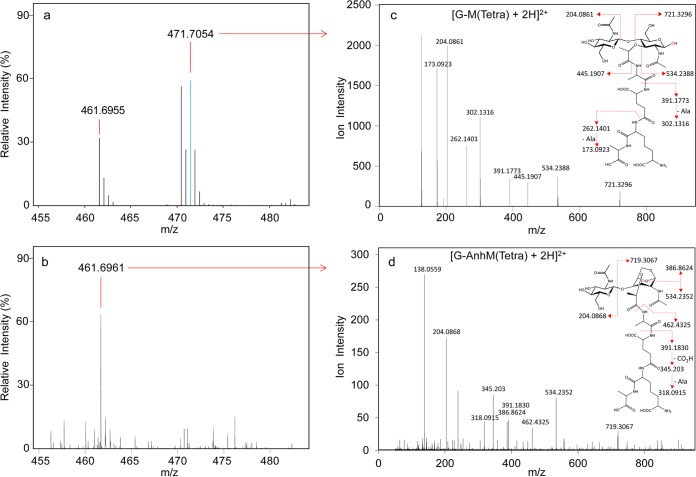 FIG 4