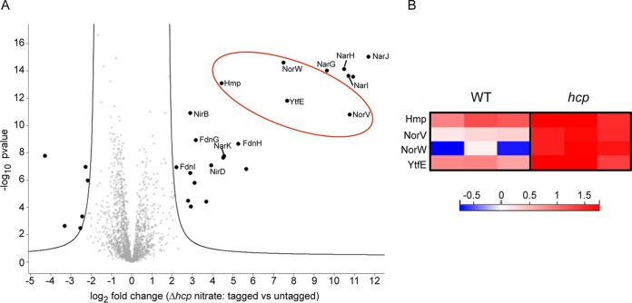 FIG 3